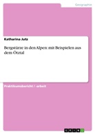 Katharina Jutz - Bergstürze in den Alpen: mit Beispielen aus dem Ötztal