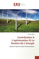Wissem Zghal, Zghal-w - Contribution a l optimisation et