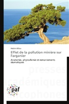 Hakim Alilou, Alilou-h - Effet de la pollution miniere sur