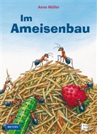 Anne Möller, Anne Möller - Im Ameisenbau