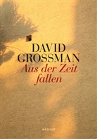 David Grossman - Aus der Zeit fallen
