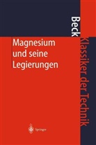 Adolf Beck - Magnesium und seine Legierungen