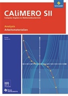 CAliMERO SII: Analysis: Arbeitsmaterialien
