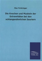 Max Fürbringer - Die Knochen und Muskeln der Extremitäten bei den schlangenähnlichen Sauriern