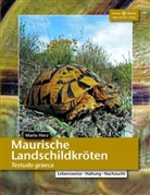 Mario Herz - Maurische Landschildkröten