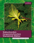 Alexander Esch - Stabschrecken, Gespenstschrecken, Wandelnde Blätter