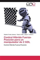 Os Aviles S, Oscar F. Aviles S., Paola Niño, Paola A Niño, Paola A. Niño, Vladimi Prada Jiménez... - Control Híbrido Fuerza-Posición para un manipulador de 2 GDL