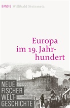 Prof. Willibald Steinmetz, Willibald Steinmetz - Neue Fischer Weltgeschichte - 6: Europa im 19. Jahrhundert