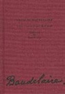 Charles Baudelaire - Vint-i-cinc flors del mal