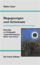 Walter Sauer - Begegnungen und Schicksale