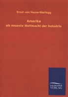 Ernst Von Hesse-Wartegg, Ernst von Hesse-Wartegg - Amerika als neueste Weltmacht der Industrie