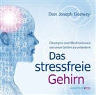 Don J. Goewey, Don Joseph Goewey, Irina Scholz - Das stressfreie Gehirn, Audio-CD (Hörbuch)