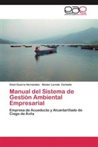 Néstor Loredo Carballo, Gise Guerra Hernández, Gisel Guerra Hernández - Manual del Sistema de Gestión Ambiental Empresarial