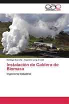 Alejandro Long Arnaldi, Santiag Scarafía, Santiago Scarafía - Instalación de Caldera de Biomasa