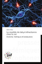 Martin Hitier, Hitier-m - Le modele de labyrinthectomie
