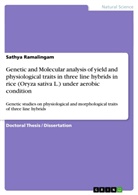 Sathya Ramalingam - Genetic and Molecular analysis of yield and physiological traits in three line hybrids in rice (Oryza sativa L.) under aerobic condition