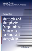 Hyungjun Kim - Multiscale and Multiphysics Computational Frameworks for Nano- and Bio-Systems