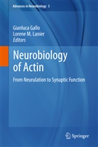 Gianluc Gallo, Gianluca Gallo, Lorene M Lanier, M Lanier, M Lanier - Neurobiology of Actin