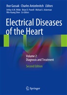 Arthur A M Wilde et al, Charle Antzelevitch, Charles Antzelevitch, Ihor Gussak, Brian D. Powell - Electrical Diseases of the Heart. Vol.2