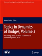 Alvar Cunha, Alvaro Cunha - Topics in Dynamics of Bridges, Volume 3