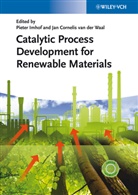 Pieter Imhof, Jan Cornelis van der Waal, Cornelis van der Waal, Cornelis van der Waal, Piete Imhof, Pieter Imhof... - Catalytic Process Development for Renewable Materials