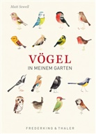 Matt Sewell - Vögel in meinem Garten