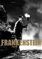 Hans Schmid - Frankenstein. Bd.1