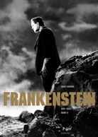 Hans Schmid - Frankenstein. Bd.2