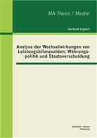 Gerhard Lippert - Analyse der Wechselwirkungen von Leistungsbilanzsalden, Währungspolitik und Staatsverschuldung