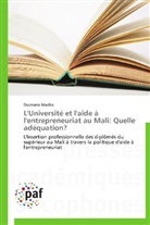 Ousmane Mariko, Mariko-o - L universite et l aide a l