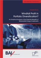 Frederik Bruns - Windfall Profit in Portfolio Diversification?: An Empirical Analysis of the Potential Benefits of Renewable Energy Investments