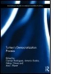 Carmen (EDT)/ Avalos Rodriguez, Carmen Avalos Rodriguez, Antonio Avalos, Avalos Antonio, Ana Planet, Ana I. Planet... - Turkey's Democratization Process