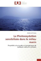 Abdeslam El Assyry, El assyry-a - La photooxydation sensibilisee