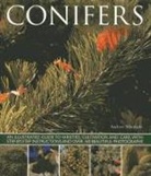 Andrew Mikolajski, Mikolajski Andrew, Peter Anderson - Conifers