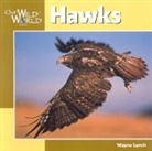 Dr Wayne Lynch, Fred Smith - Hawks Our Wild World