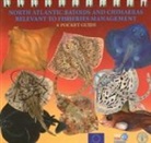 Food and Agriculture Organization of the, Food and Agriculture Organization of the United Na, Matthias Stehmann, Food and Agriculture Organization (Fao) - North Atlantic Batoids and Chimaeras Relevant to Fisheries Management