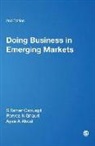 Ayse A Akcal, Ayse A. Akcal, S Tamer Cavusgil, S Tamer Ghauri Cavusgil, S. Tamer Cavusgil, S. Tamer Ghauri Cavusgil... - Doing Business in Emerging Markets