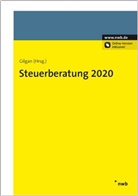 Michae Brhel, Michael Brhel, Hans-Günthe Gilgan, Hans-Günther Gilgan, An Hamatschek, Angela Hamatschek... - Steuerberatung 2020