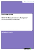 Patrick Schürmann - Elektrotechnische Untersuchung einer reversiblen Brennstoffzelle