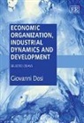 Giovanni Dosi - Economic Organization, Industrial Dynamics and Development