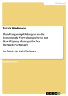 Patrick Wiedemann - Handlungsempfehlungen an die kommunale Verwaltungsebene zur Bewältigung demografischer Herausforderungen