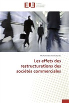 Mohamadou Hamady Dia, Dia-m - Les effets des restructurations