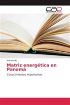 Arlin Murillo - Matriz energética en Panamá