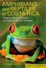 CHACÓN FEDERICO MUNOZ JOHNSTON, Richard Dennis Johnston, Federico Muanoz Chacaon, Federico Munoz Chacon, Federico Johnston Munoz Chacon, Federico Muñoz Chacón... - Amphibians and Reptiles of Costa Rica