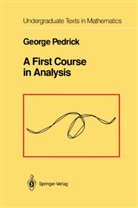 George Pedrick - A First Course in Analysis