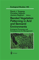 David J. Tongway, Josiane Seghieri, David J. Tongway, Christia Valentin, Christian Valentin - Banded Vegetation Patterning in Arid and Semiarid Environments