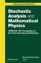 Roland Rebolledo, Rolando Rebolledo - Stochastic Analysis and Mathematical Physics