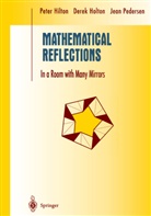 Pete Hilton, Peter Hilton, Dere Holton, Derek Holton, Jean Pedersen - Mathematical Reflections