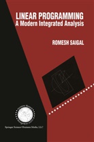 Romesh Saigal - Linear Programming