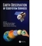 Domingo (Universidad De Almeria Alcaraz-Segura, Domingo Bella Alcaraz-Segura, Carlos Marcelo Di Bella, Domingo Alcaraz Bella Segura, Domingo Alcaraz-Segura, Domingo (Universidad De Almeria Alcaraz-Segura... - Earth Observation of Ecosystem Services